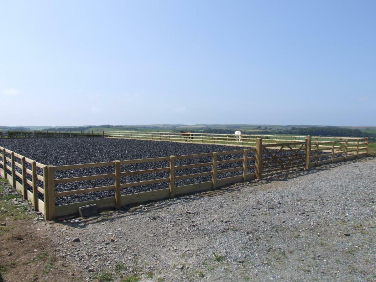 Llangwyryfon Country Breaks Bed and Breakfast Aberystwyth Eksteriør billede