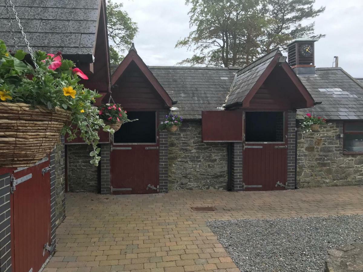 Llangwyryfon Country Breaks Bed and Breakfast Aberystwyth Eksteriør billede