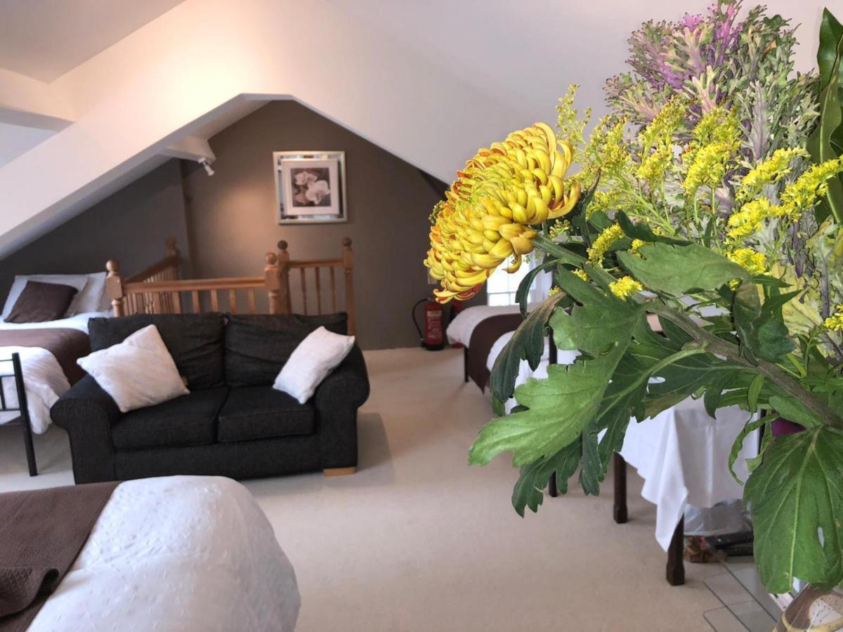Llangwyryfon Country Breaks Bed and Breakfast Aberystwyth Eksteriør billede